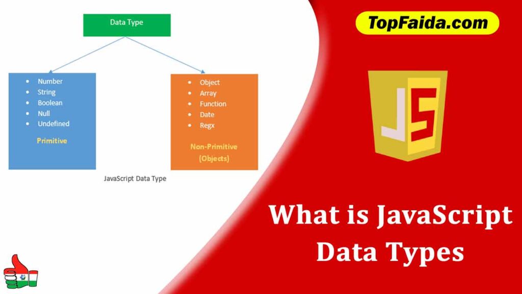 What are JavaScript Data Types?
