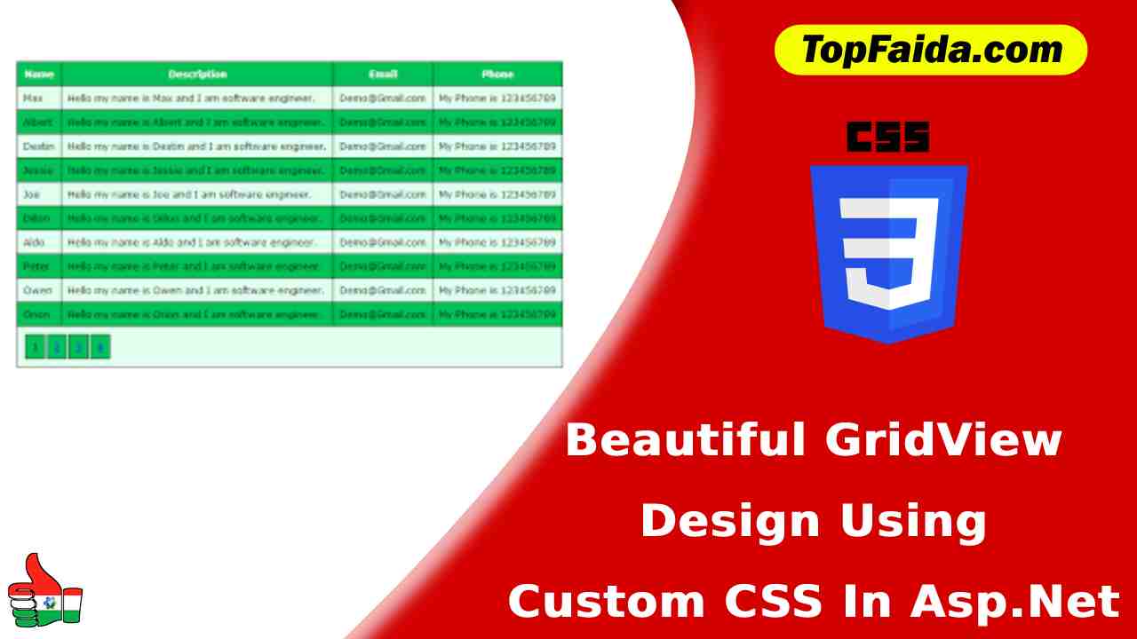 Beautiful GridView Design Using Custom CSS In Asp.Net